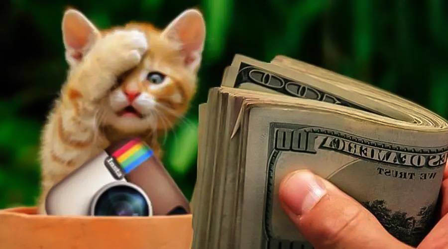 Как сделать продающее фото в Инстаграм?