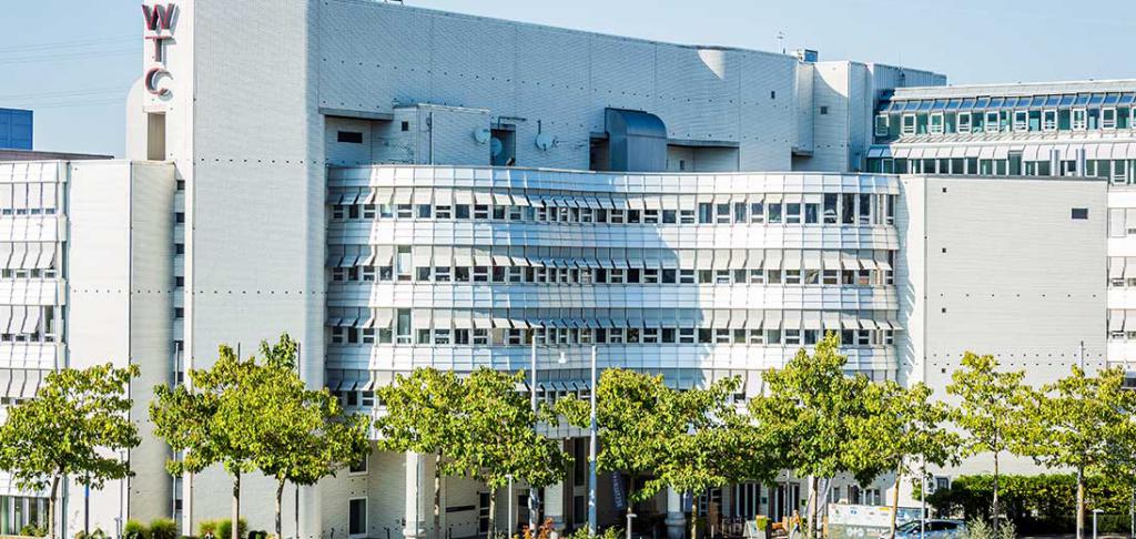 образование в швейцарии