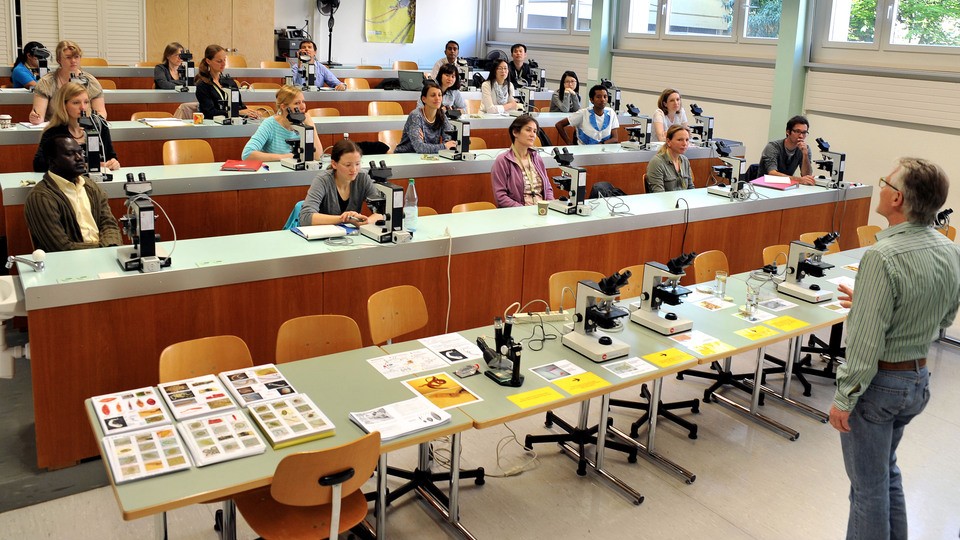 музыкальное образование в швейцарии