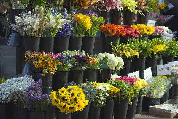 цветы на полках в ведрах