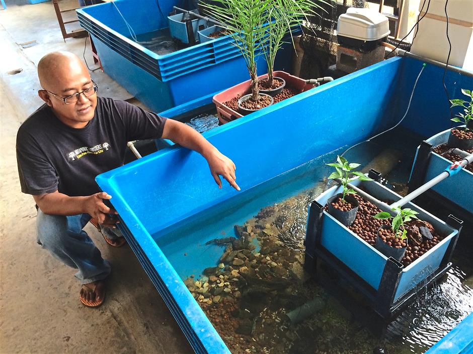 Аквариум для раков