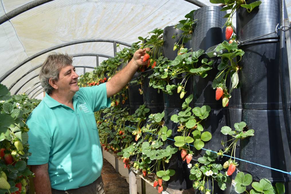 теплицы из поликарбоната