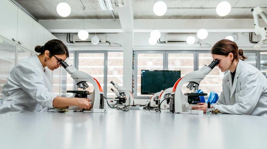 франшиза медицинского центра