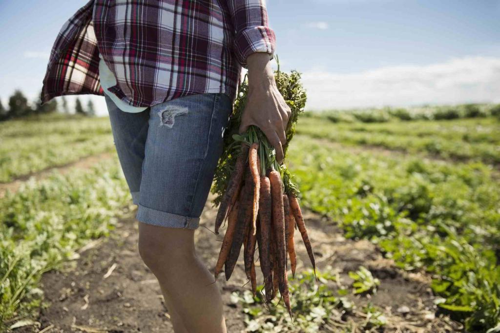 Сельское хозяйство как бизнес с нуля