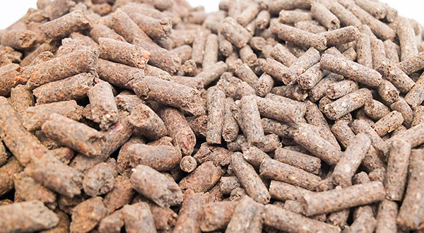 Гранулированный корм для скота