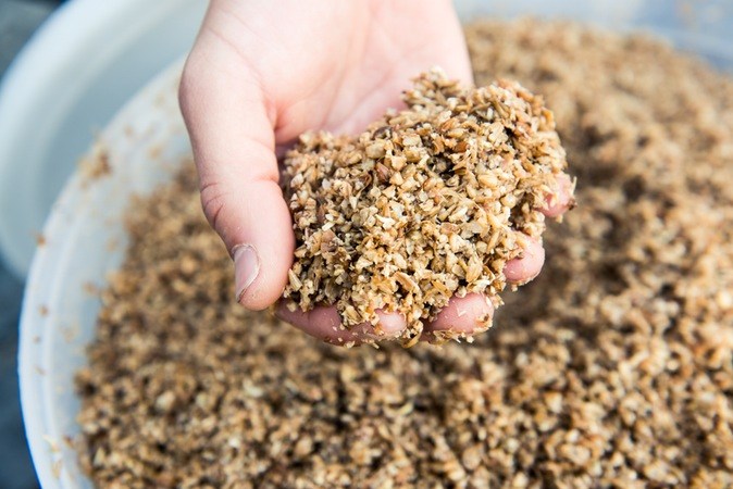 Мокрый комбикорм