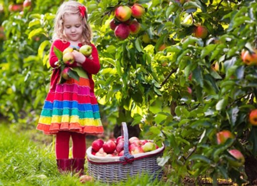 разрешение на работу в ирландии