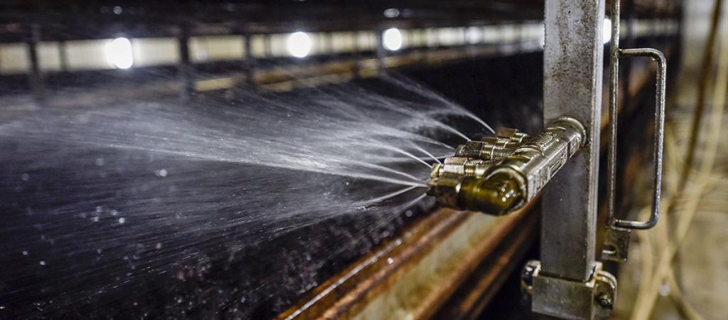 Поливание грибницы