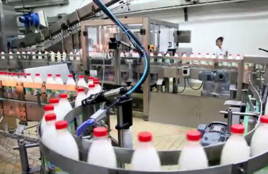 Молоко на конвеере