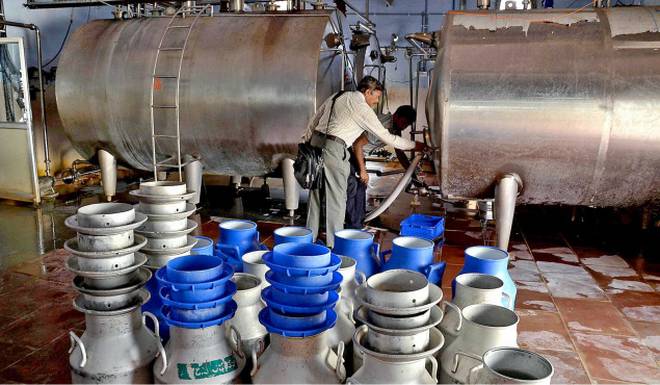 Завод по переработке молочной продукции