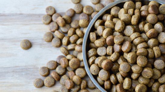 Собачий корм