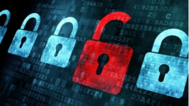 ООО приостановить деятельность