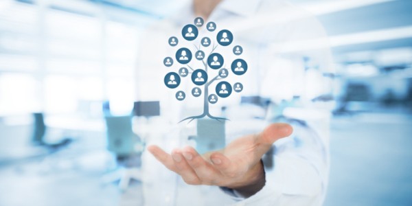 рассчитать выручку места