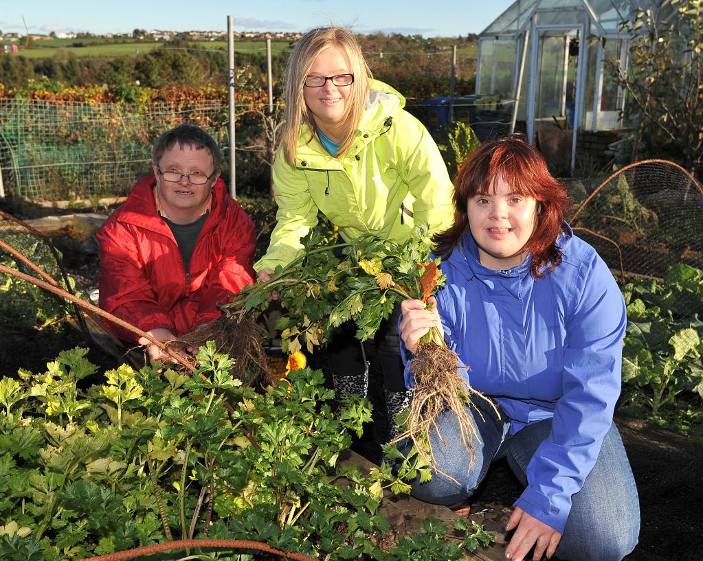 АНО форма собственности