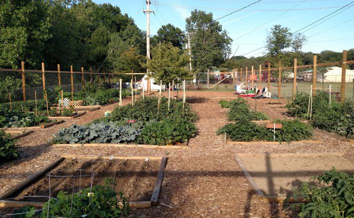 СНТ образец изменения устава