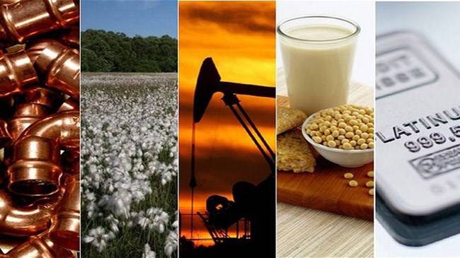 первая в россии товарно-сырьевая биржа