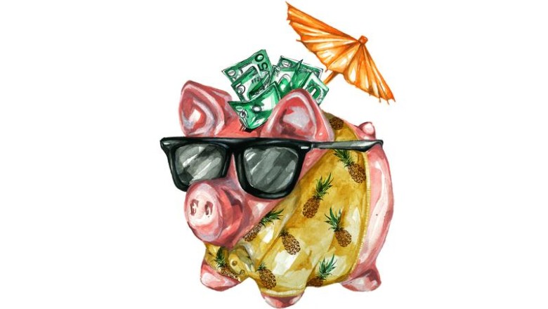 Веселая свинка