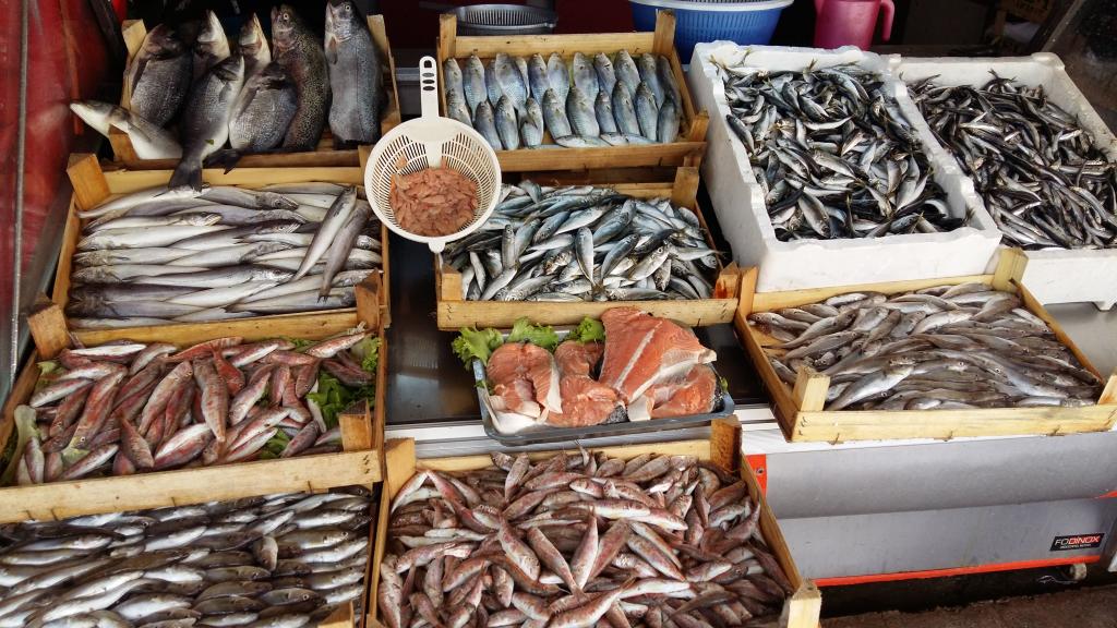 открыть рыбный магазин с нуля