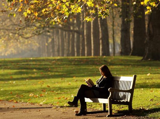 сколько можно заработать на написании книг