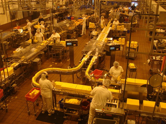 сыроварня как бизнес отзывы