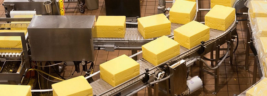 бизнес-план сыроварни