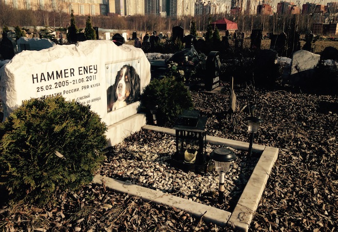 Кладбище для животных в России.