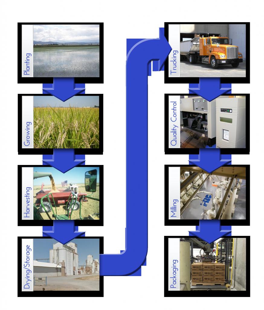 что значит вертикально интегрированная компания