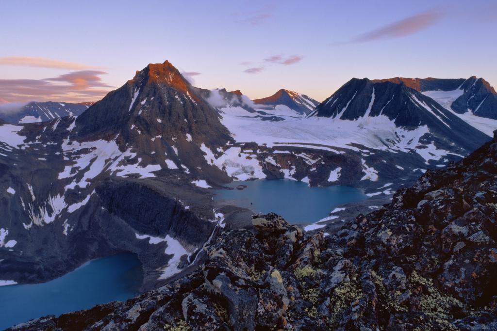 налоговая система