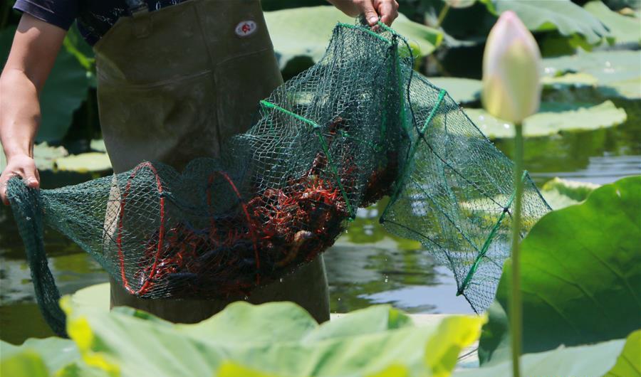 Китайцы ловят раков.