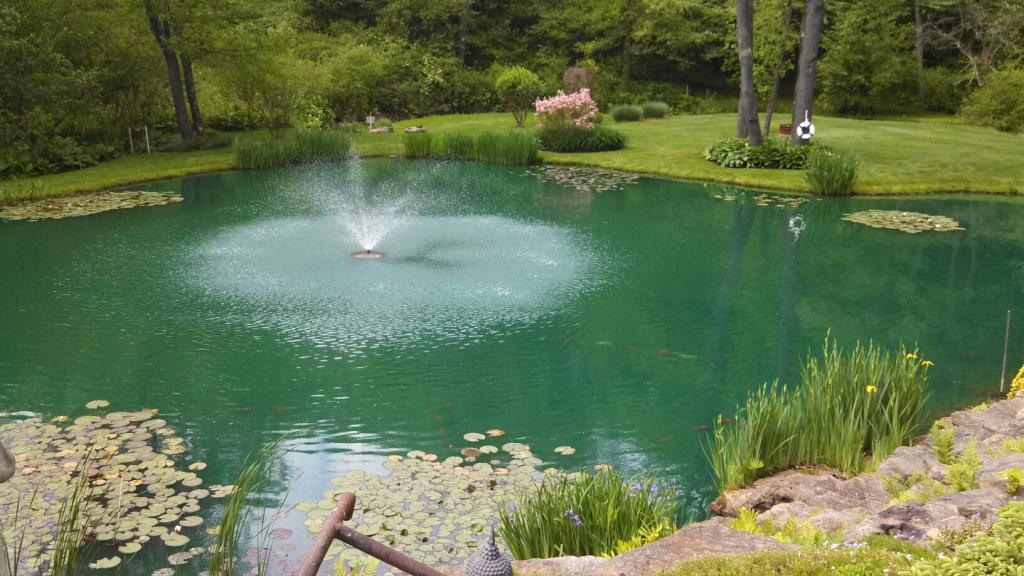 Красивый декоративный пруд.