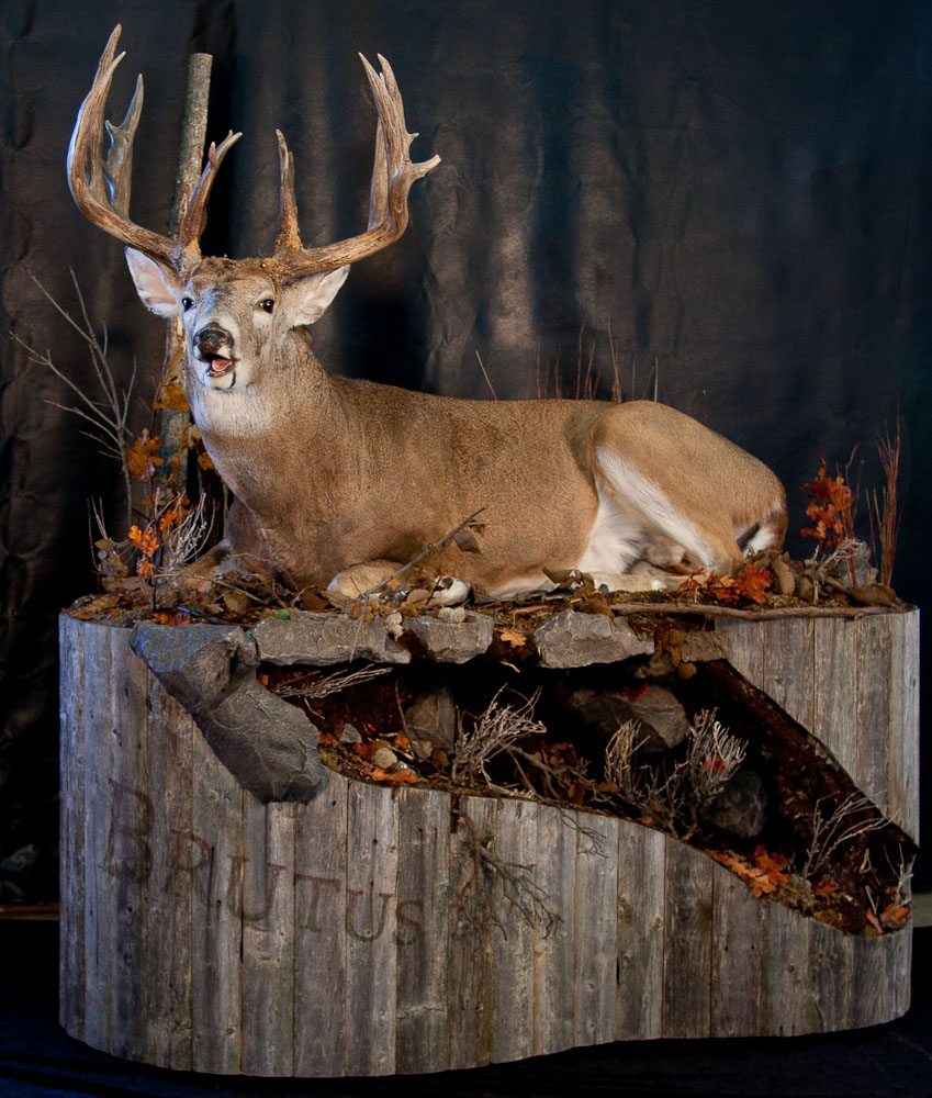человек который делает чучела