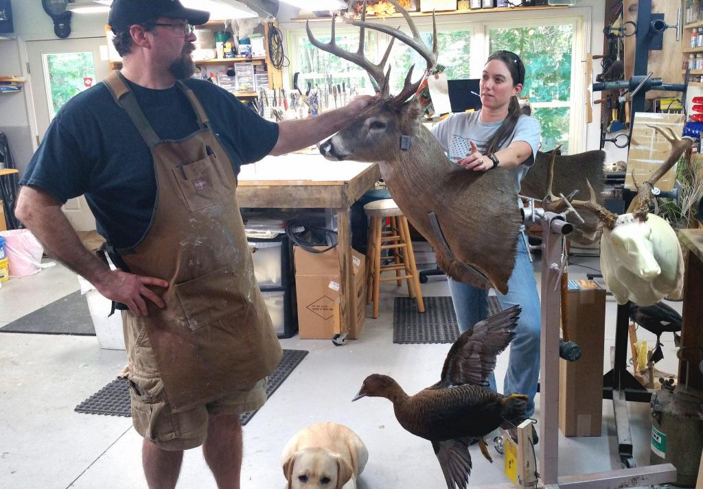 кто делает чучела животных