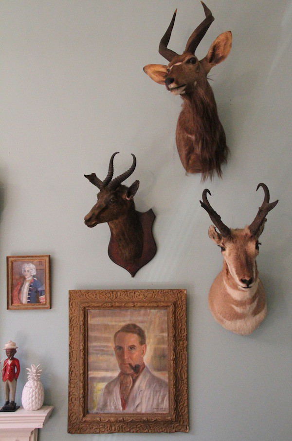 Кто делает чучела зверей?