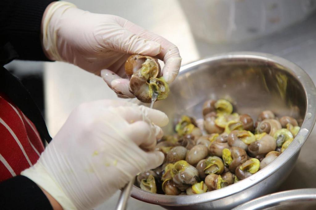 корм для улиток