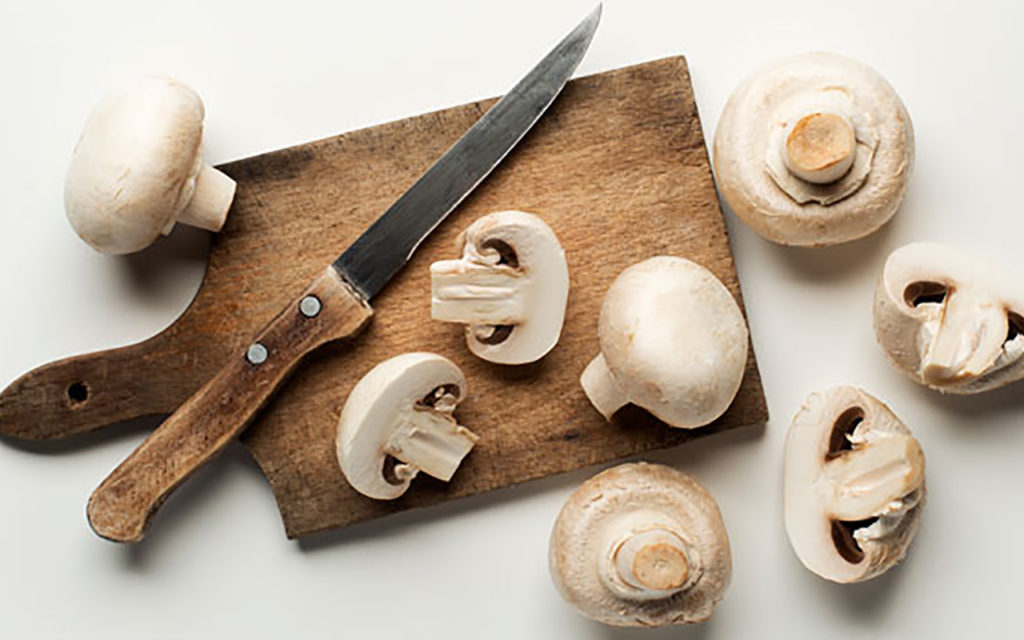 технология выращивания грибов шампиньонов