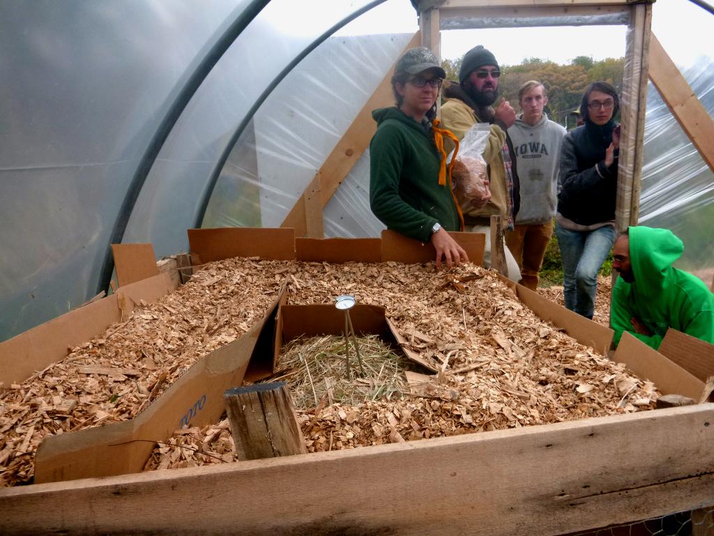 промышленное выращивание шампиньонов технология