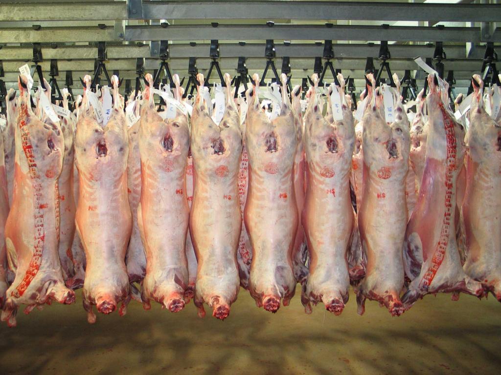 Свежее мясо