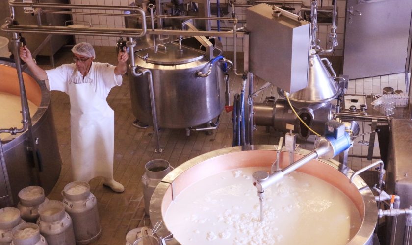 оборудование сыроварни