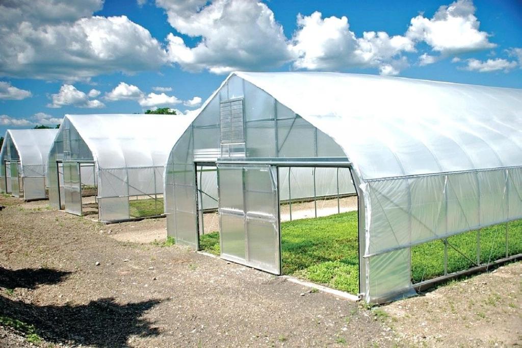 Тепличный комплекс.