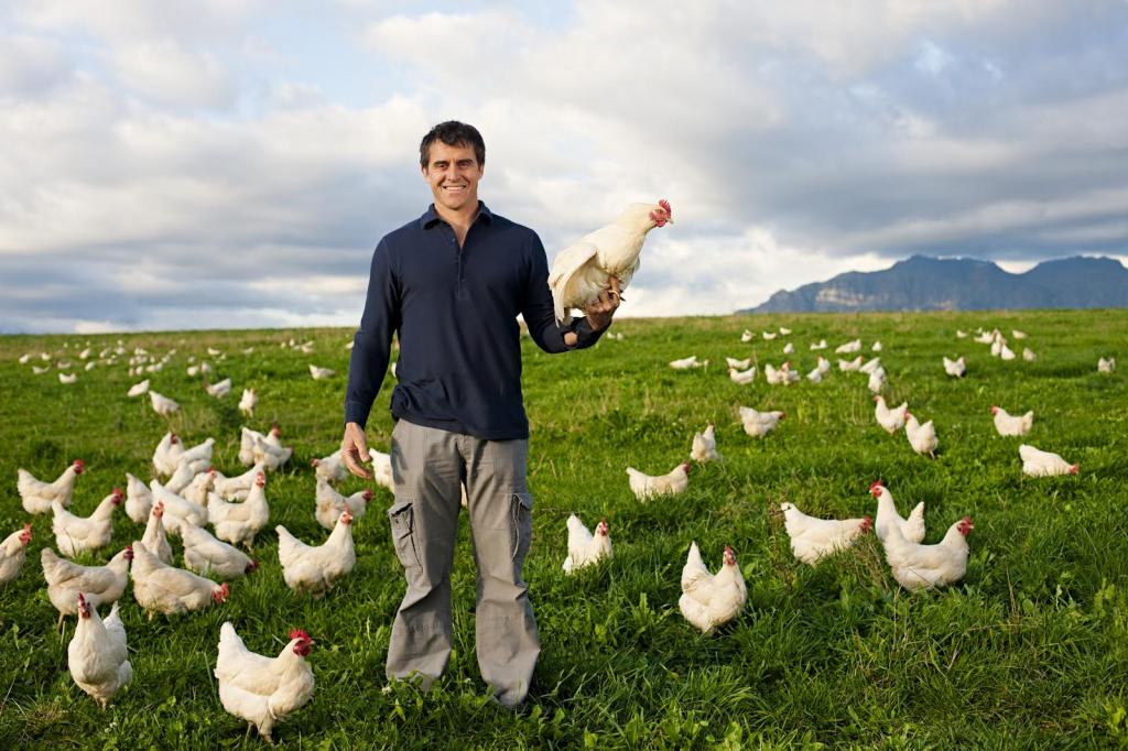 кфх это ип или юридическое лицо