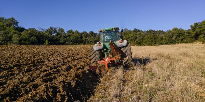 Способ посева овса с комбайном