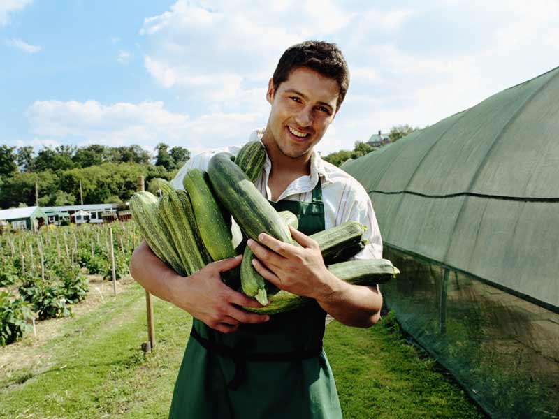 Ведение бизнеса