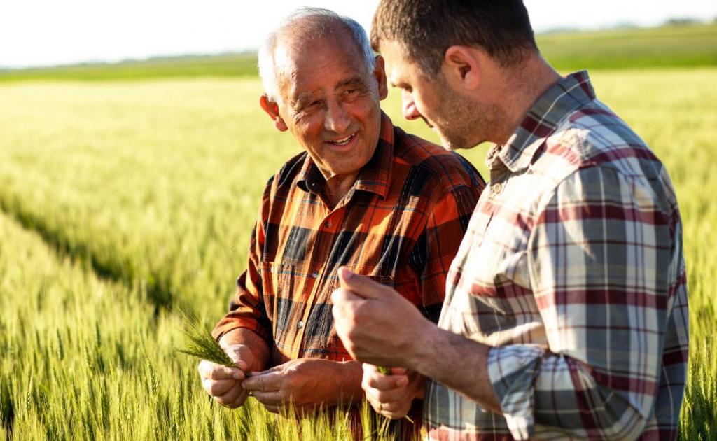 Упрощенный порядок