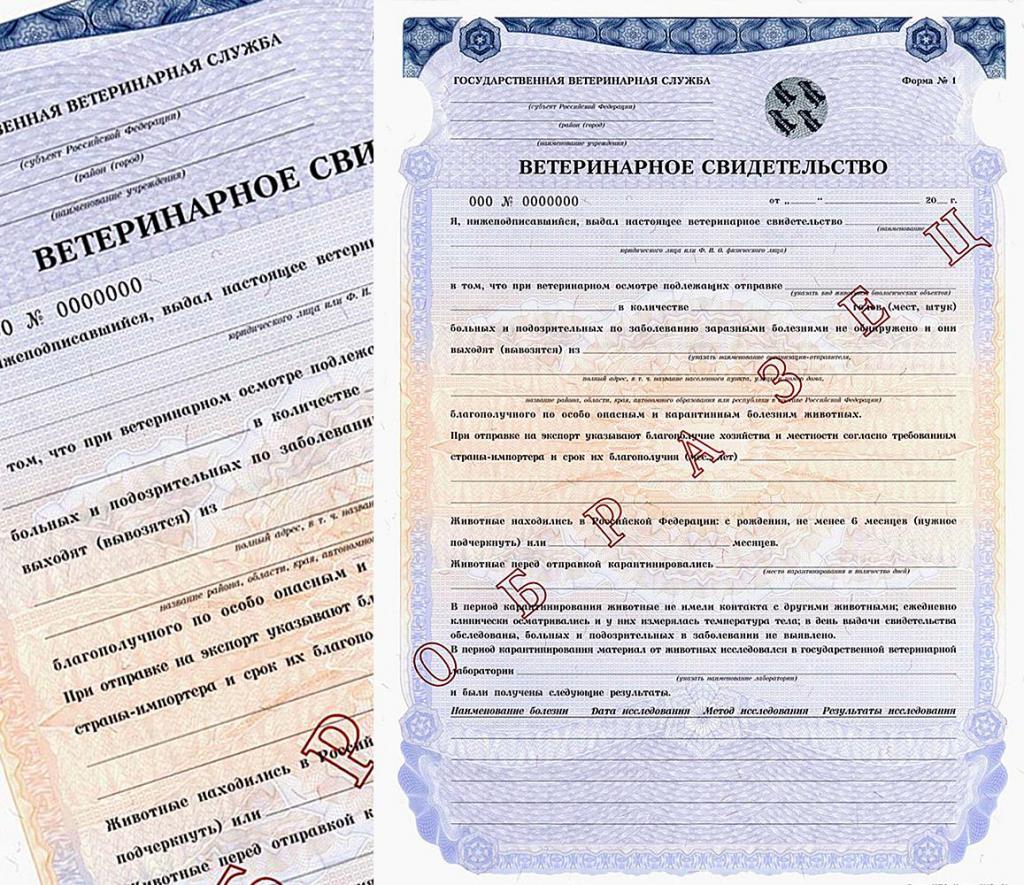 ветеринарное удостоверение