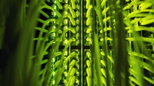 файлообменник для заработка денег