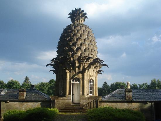 Усадьба Ананаса