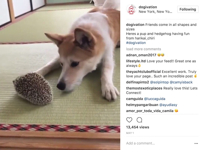 как в инстаграме быть популярным