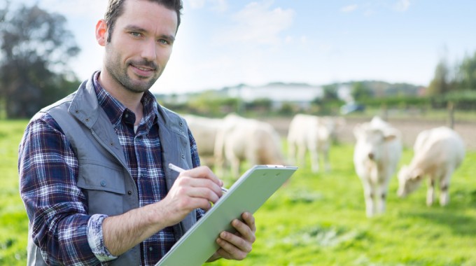 Рекомендации экспертов о помощи фермерам