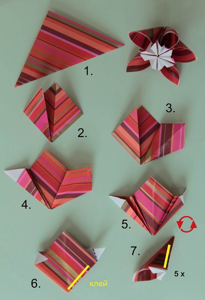 цветок кусудама