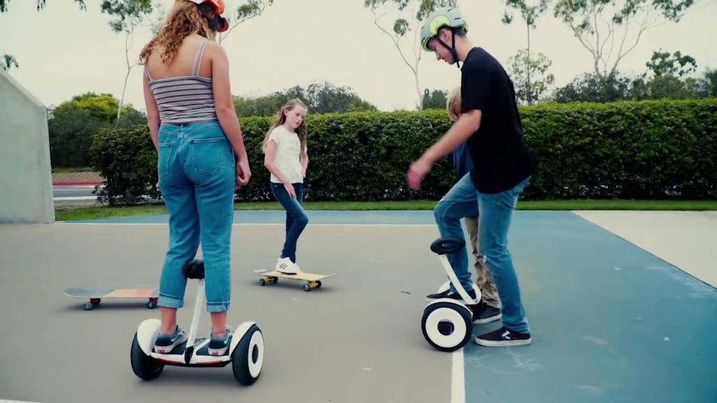 мини сигвей